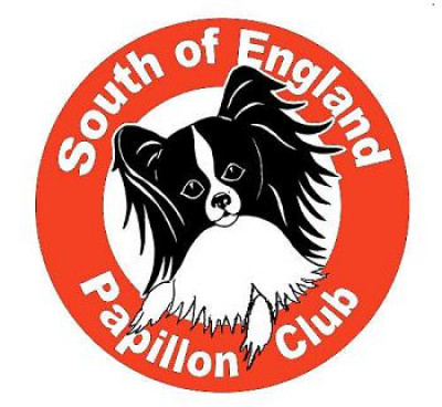 South of England Papillon Breed Open show