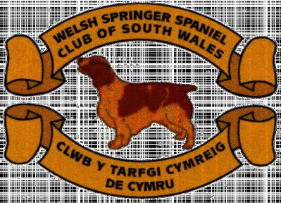 Welsh Springer Spaniel Club of South Wales