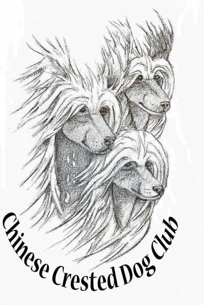 Chinese Crested Dog Club