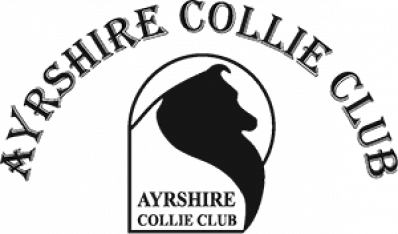 Ayrshire Collie Club - Single Breed Championship Show