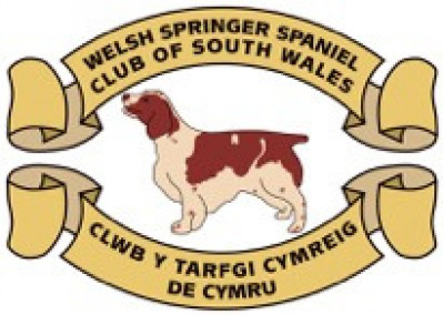 Welsh Springer Spaniel Club of South Wales Open Show