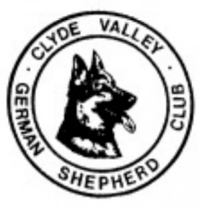 Clyde Valley GSD Club -  Championship Show