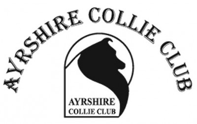 Ayrshire Collie Club - Championship Show - October 2023