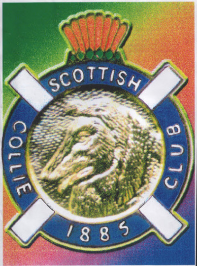 Scottish Collie Club - Open Show