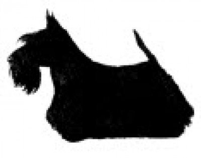 The Scottish Terrier Club - Members Limited Show - April 2024