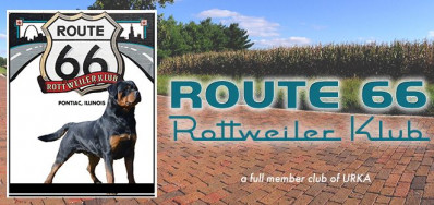 URKA Sieger Show 1 and Sieger Show 2  Hosted by: Route 66 Rottweiler Klub