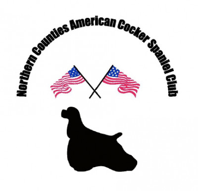 Northern Counties American Cocker Spaniel Club - Championship Show