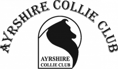 Ayrshire Collie Club - Open Show May 2024