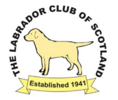 The Labrador Club of Scotland - Open Show October 2024