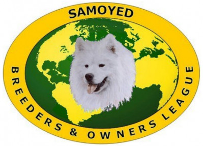 Samoyed Breeders  & Owners League - Championship Show - Nov 2024