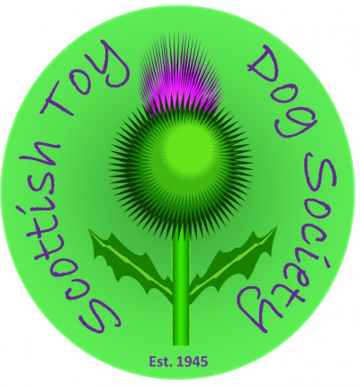 Scottish Toy Dog Society - Premier Open Show - March 2025