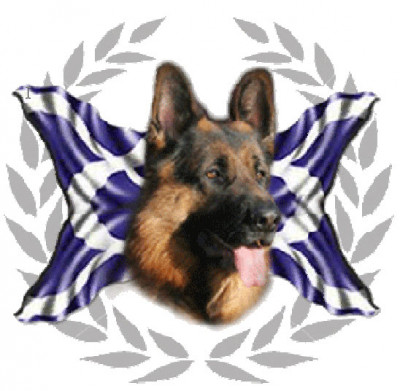 The German Shepherd Dog Club of Scotland - Single Breed Open Show