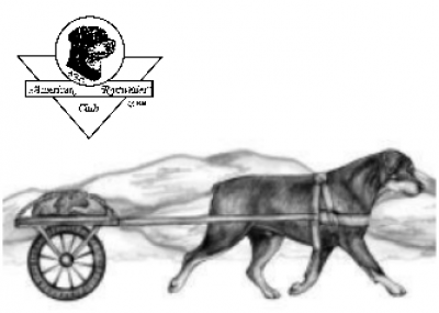 ARC Carting - 2025 ARC Nationals