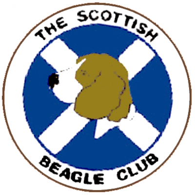 The Scottish Beagle Club - Open Show