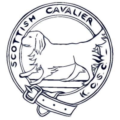 Scottish Cavalier King Charles Spaniel Club - Championship Show Oct 25
