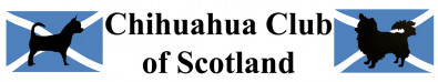 The Chihuahua Club of Scotland - Open Show