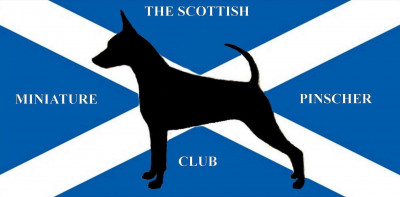 The Scottish Miniature Pinscher Club - Open Show - Dec 2025