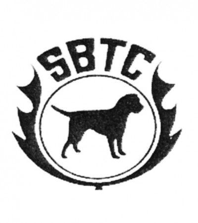 Scottish Border Terrier Club - Limited Single Breed Show
