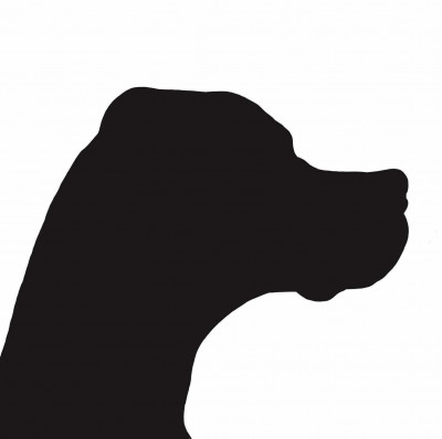 Pointer Club of Scotland - Open Show 2026