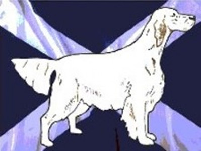 English Setter  Society of  Scotland - Open Show June 2026