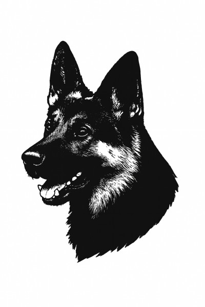 Fife GSD Club - Open Show May 2026