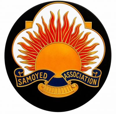 The Samoyed  Association - Open Show June 2026