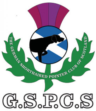 The German Shorthaired Pointer Club of Scotland - Open Show